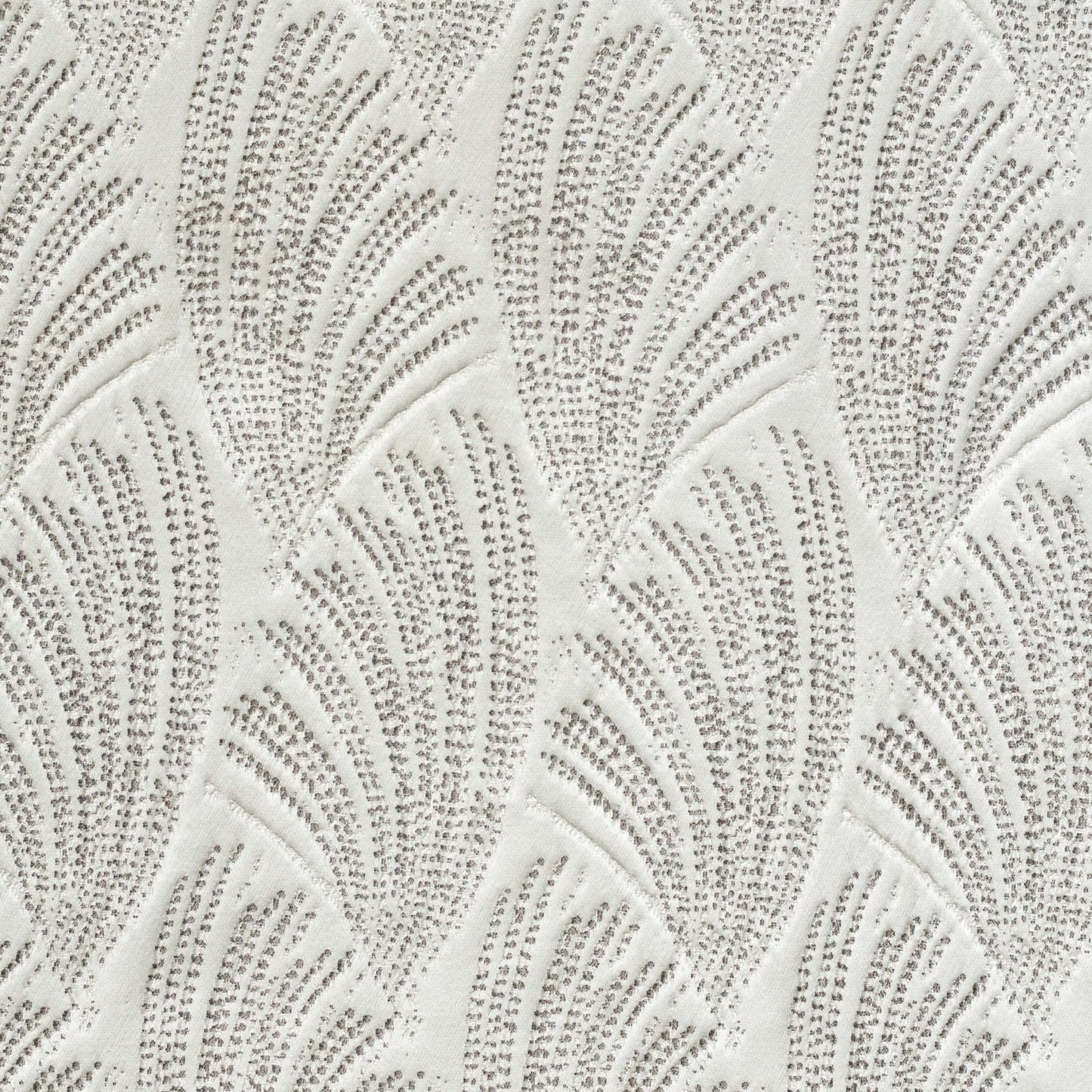 Acacia