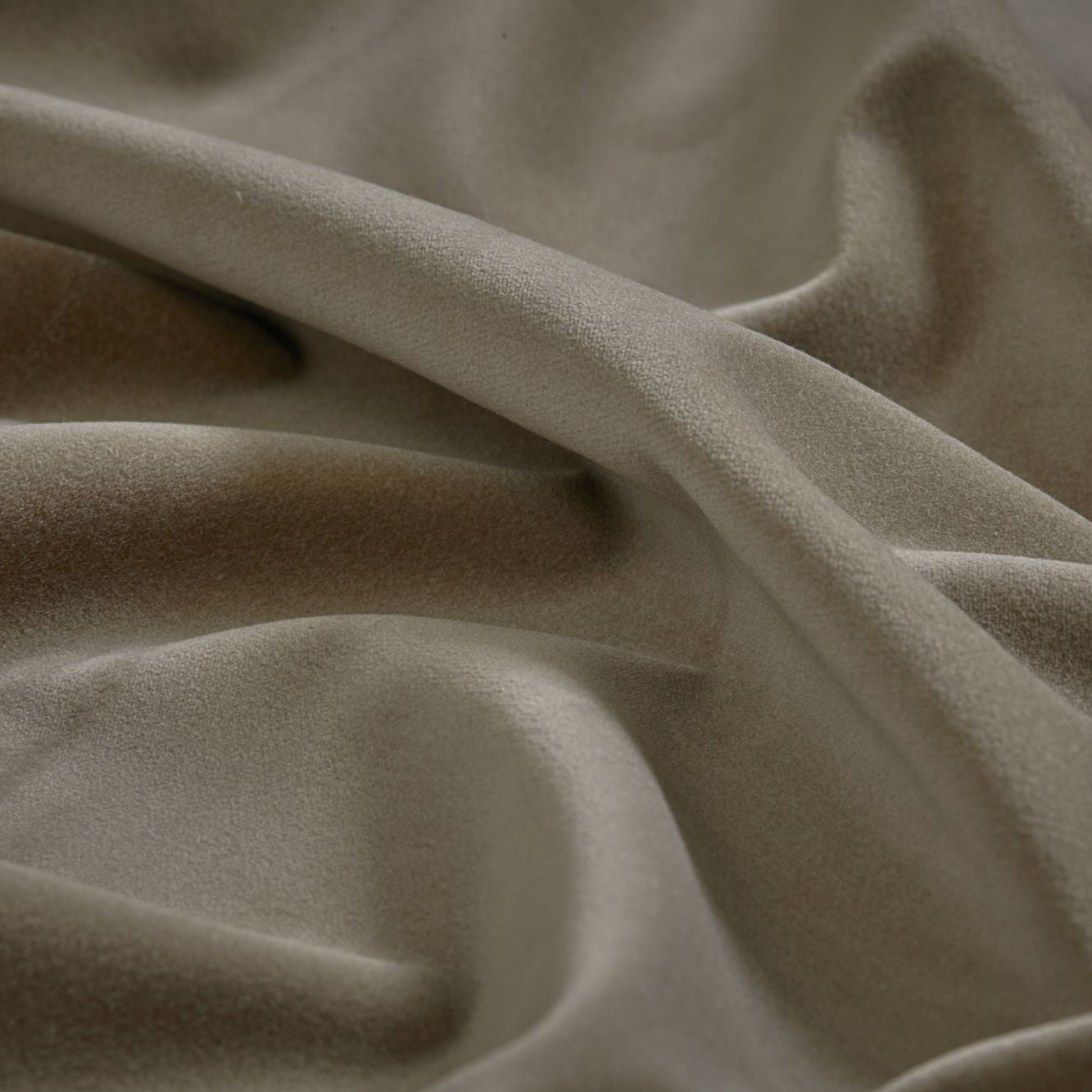 Cotton Velvet