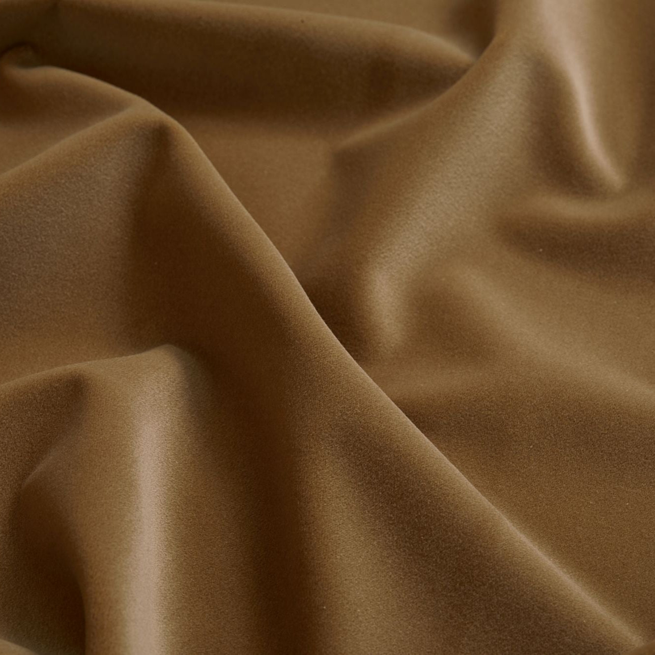 Cotton Velvet