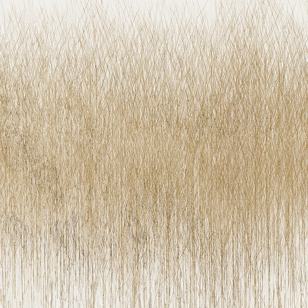HIERBATISTA