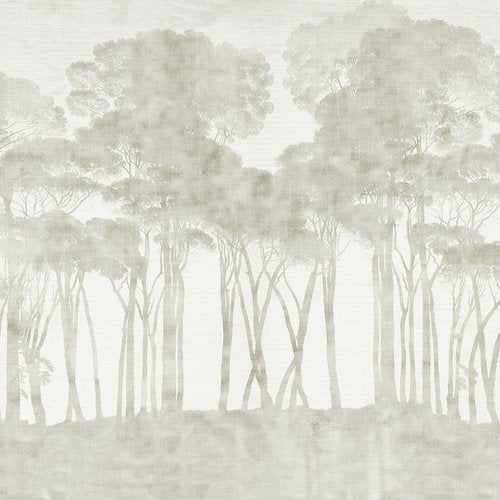 Pinos Noir