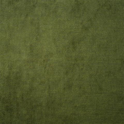 Moss