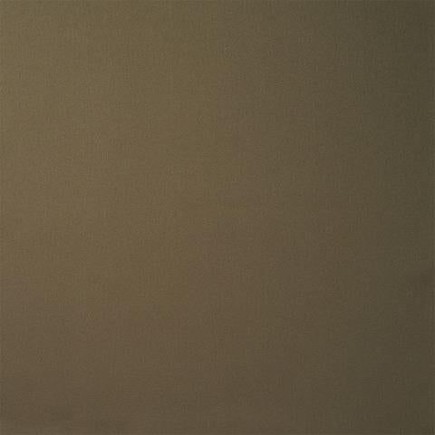 Shadow