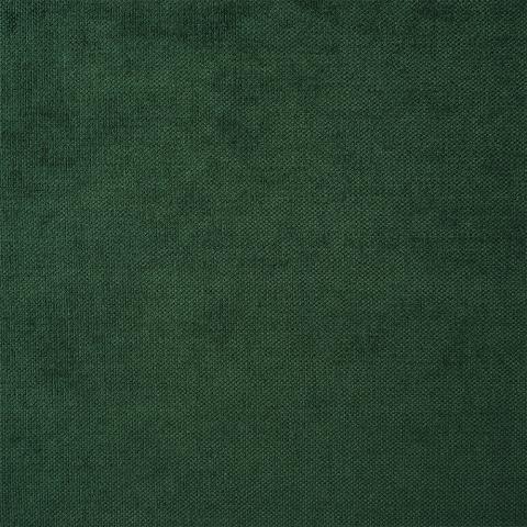 Moss