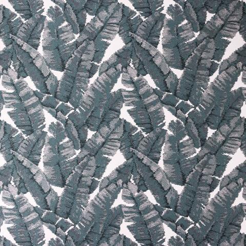 Yucca