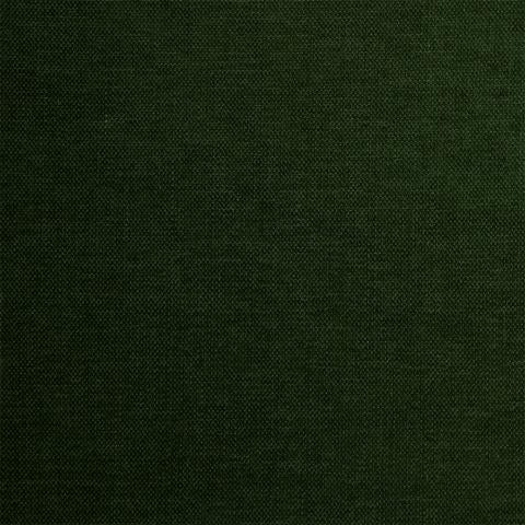 Moss