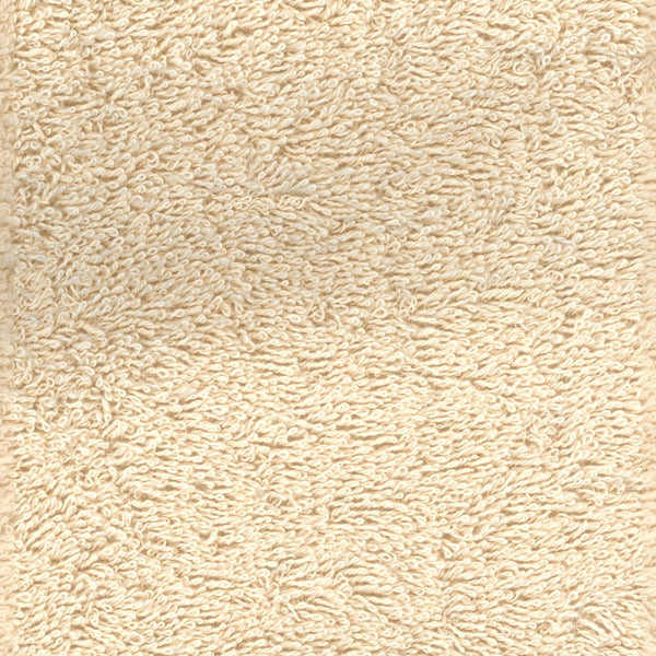 Spugna L.
