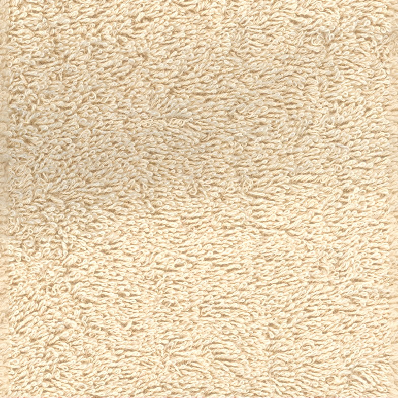 Spugna L.