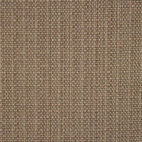 Sahara