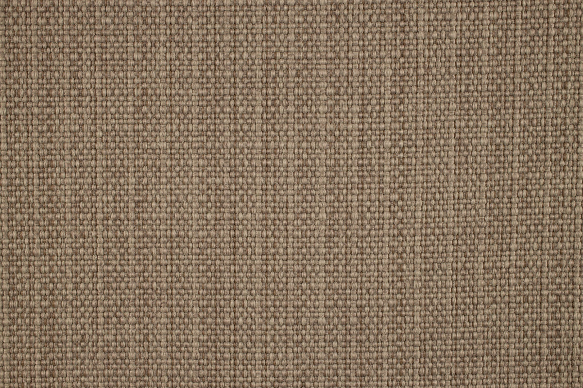 Sahara