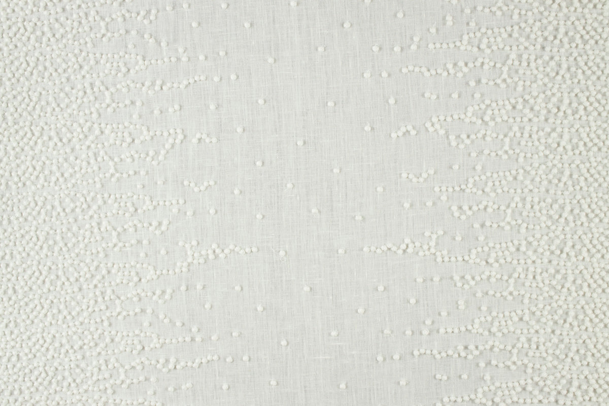 Corallo