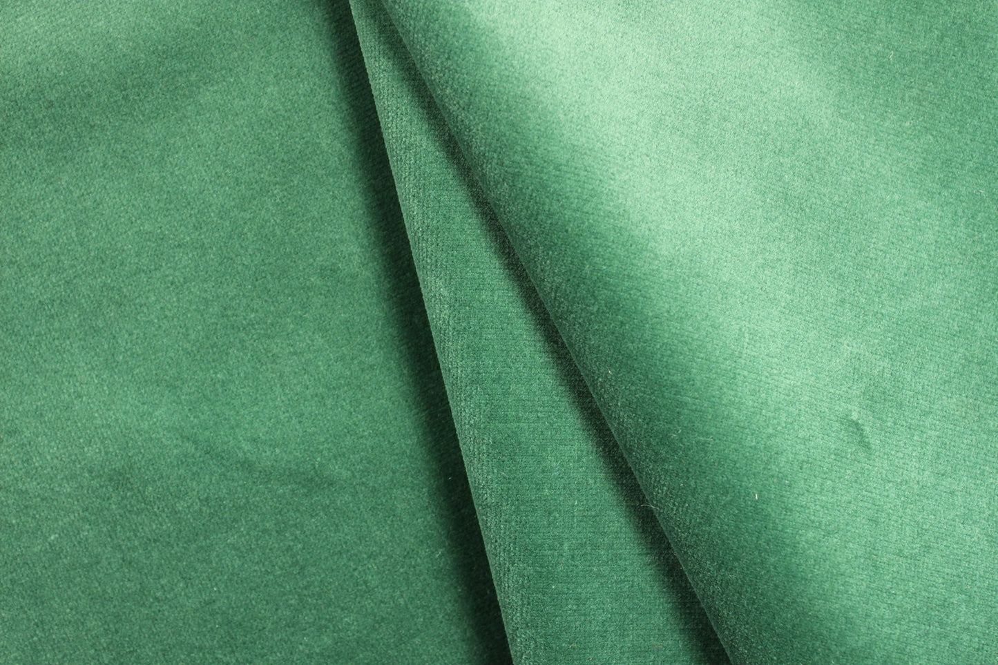 Fenice