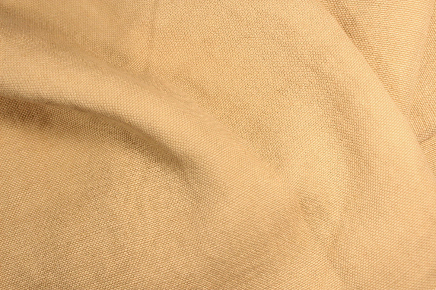 Carducci