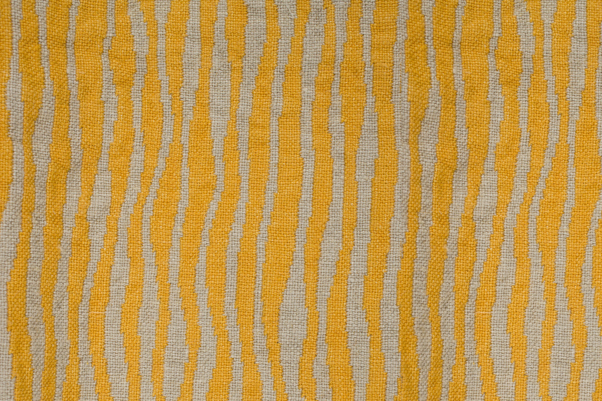 Pienza Zebra