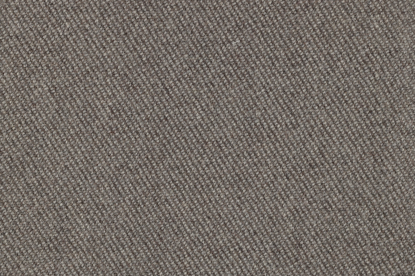 Tambora