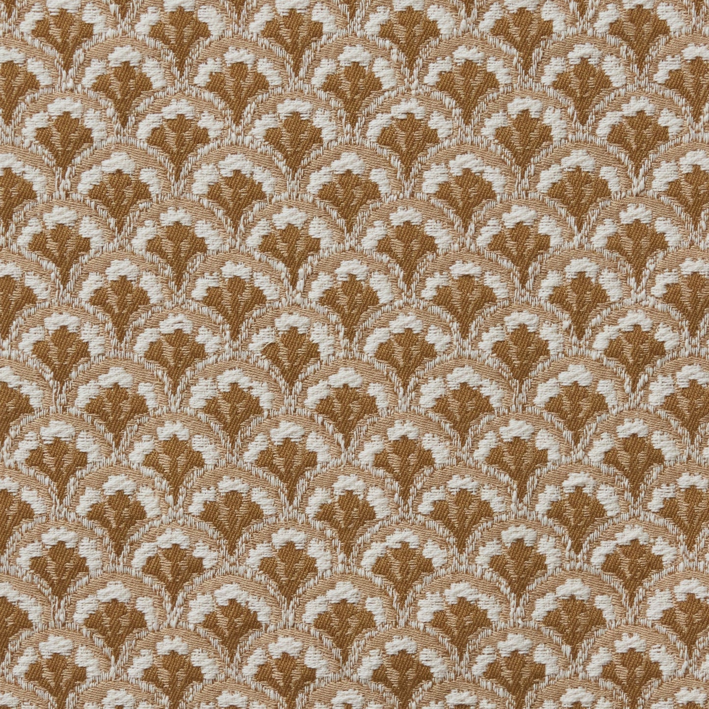 Bracken