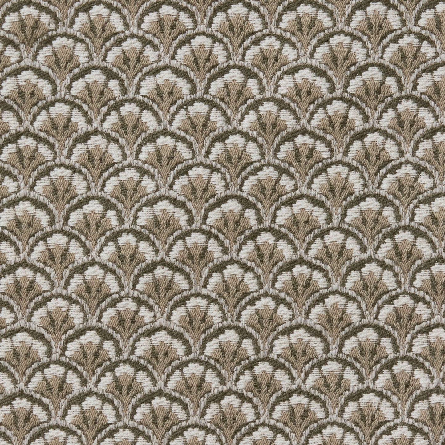 Bracken