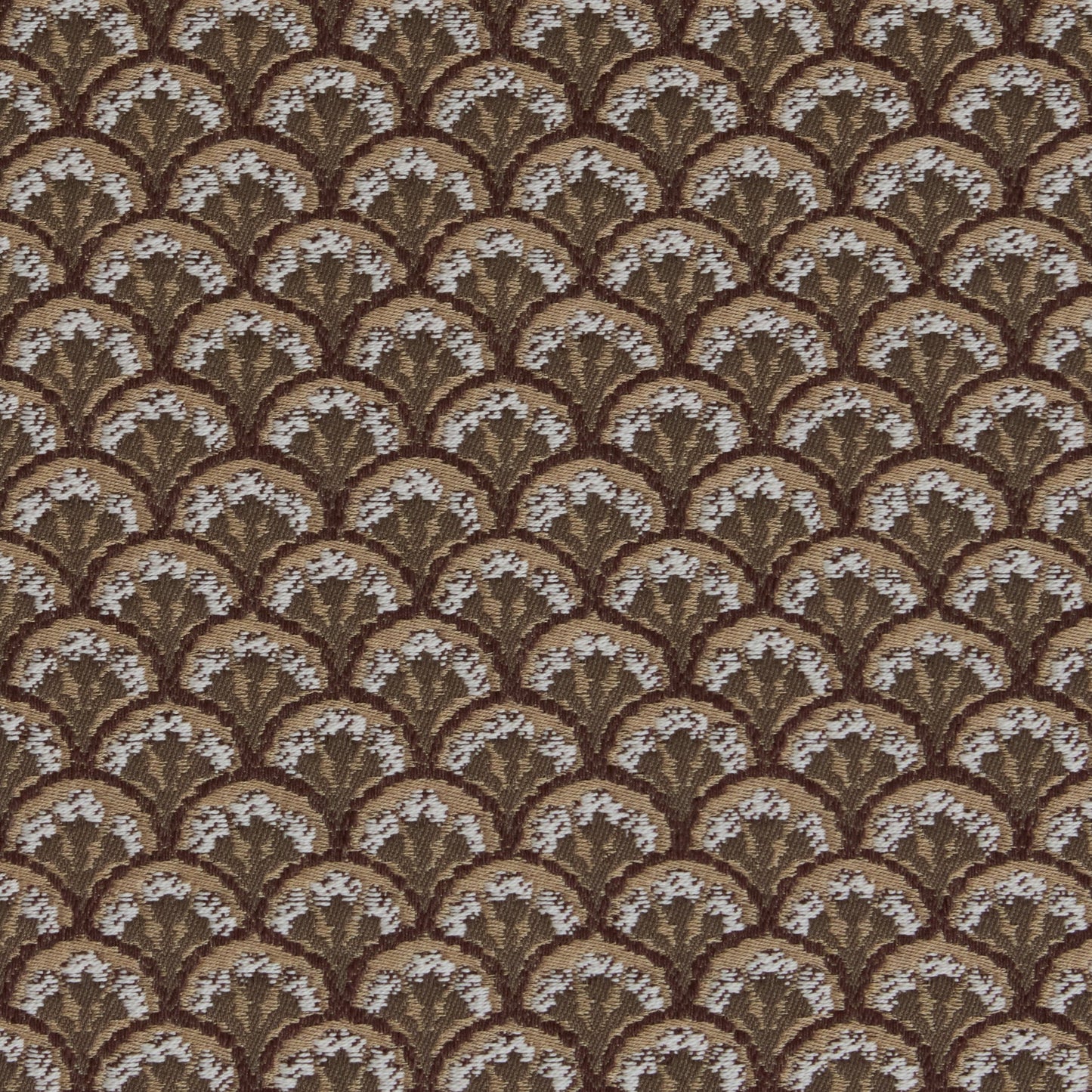 Bracken