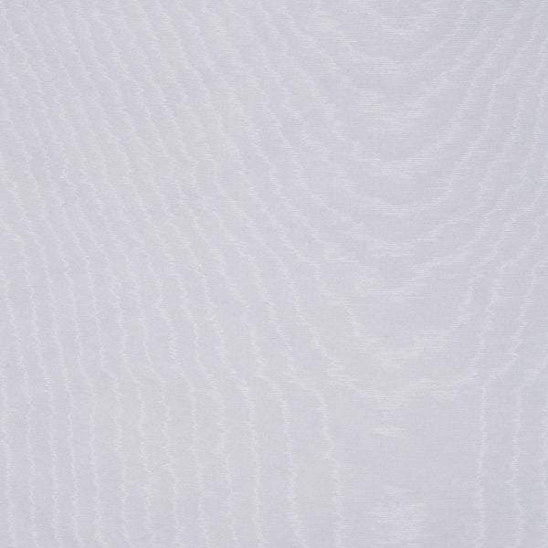 A Moire' Mio