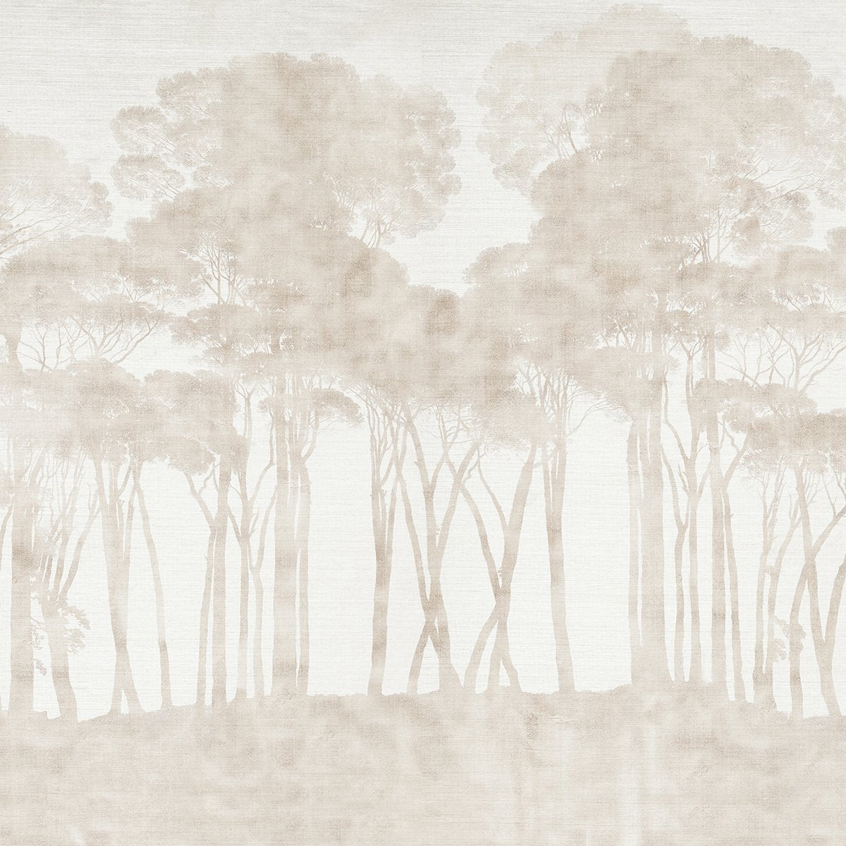 Pinos Noir