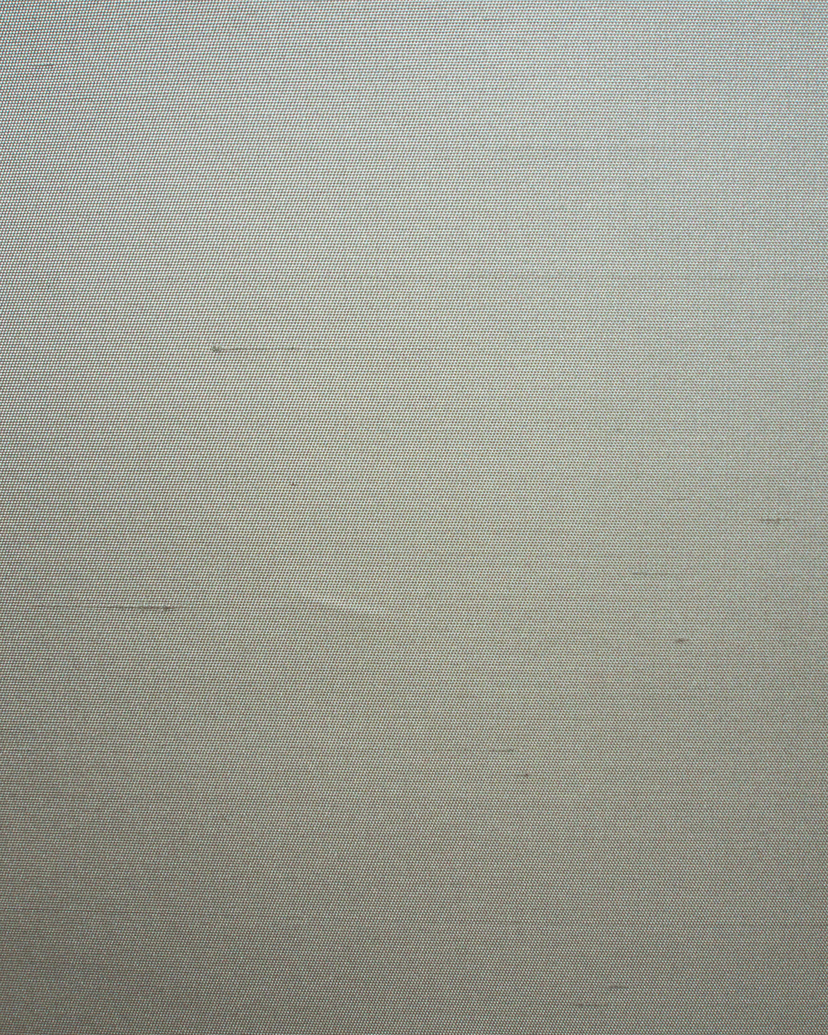 Seta