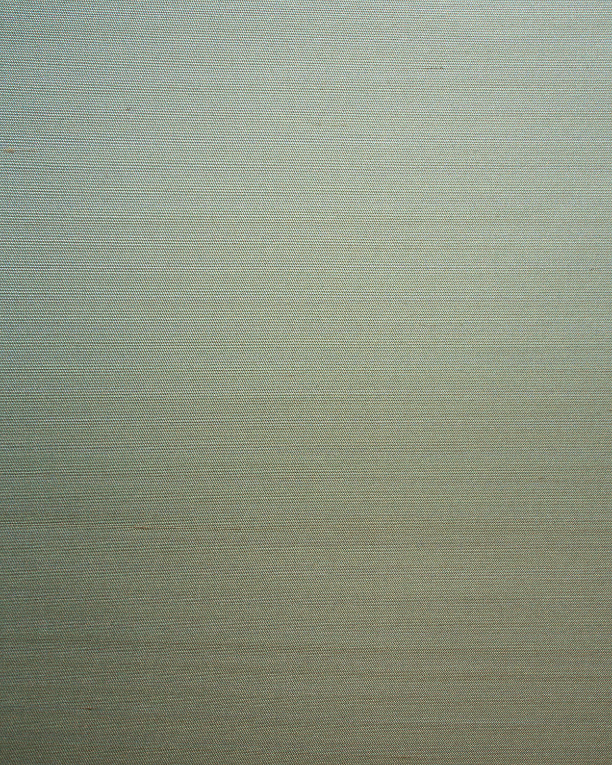 Seta