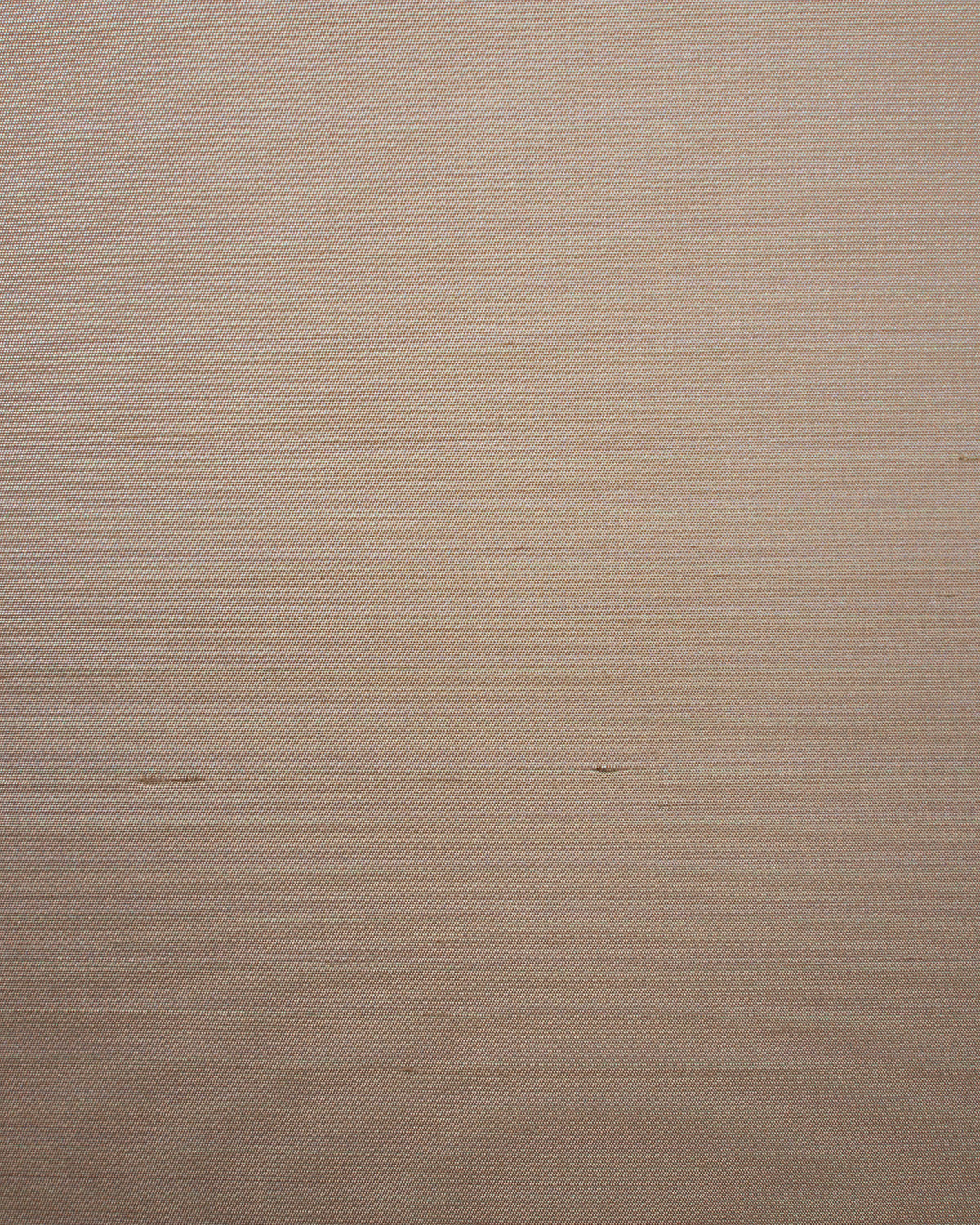 Seta