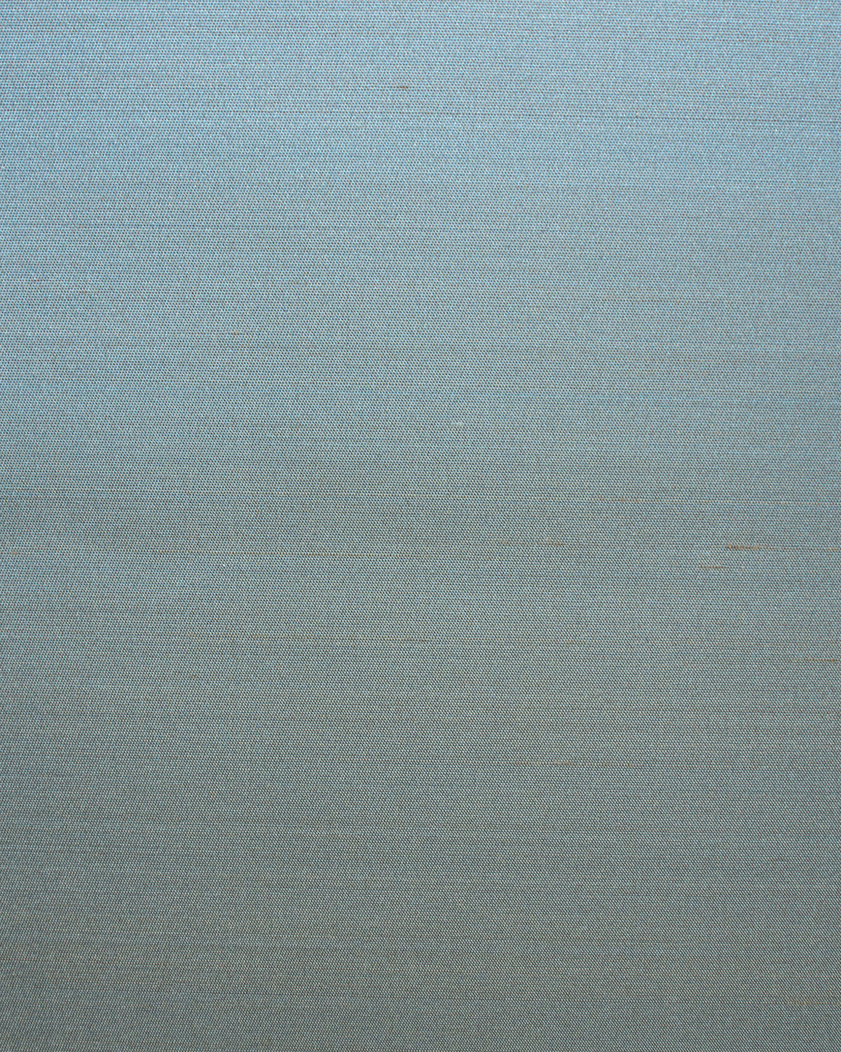 Seta