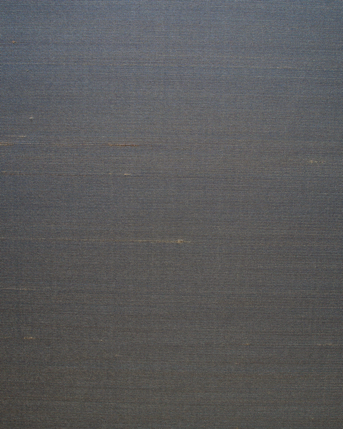 Seta