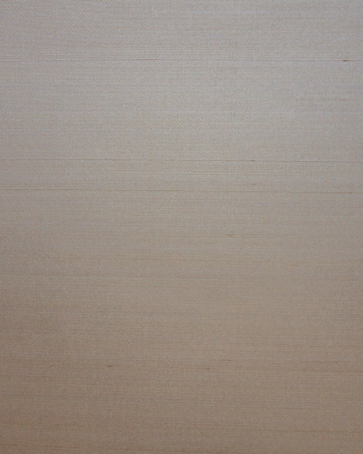 Seta