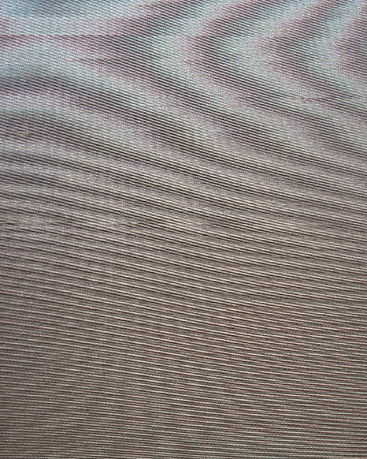 Seta