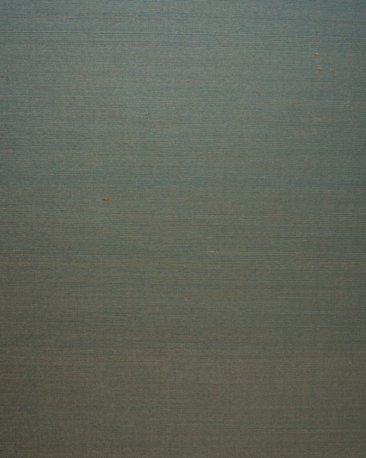 Seta