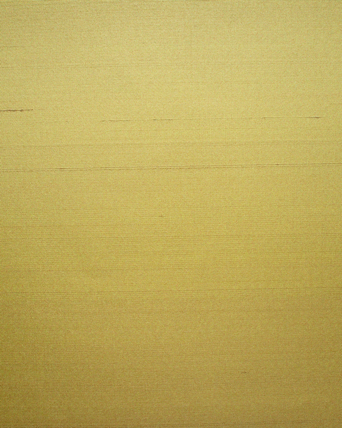 Seta