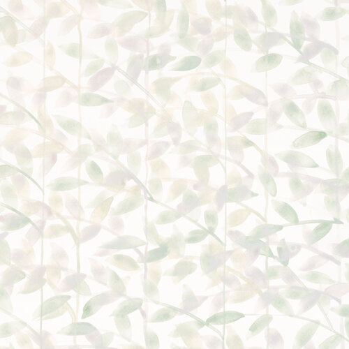 Traci Wallpaper
