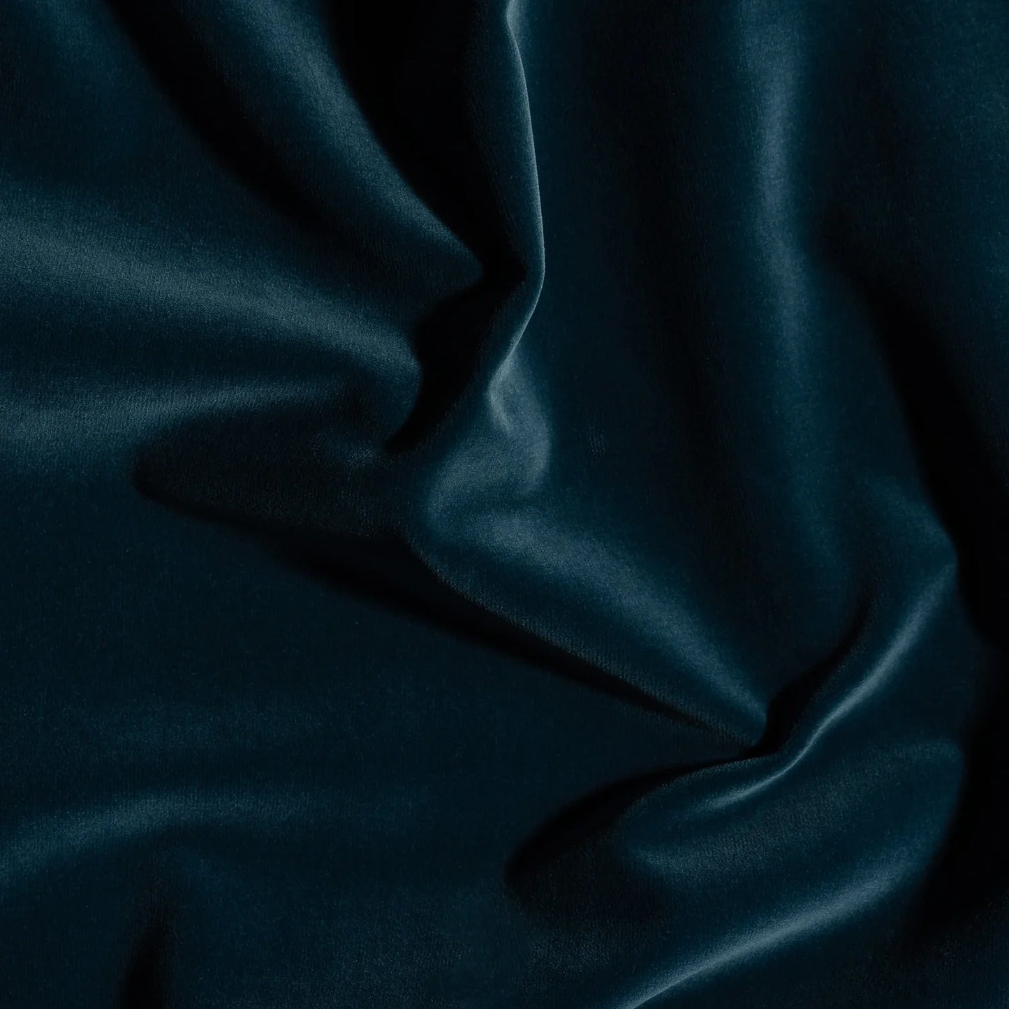 Carnaby Cotton Velvet