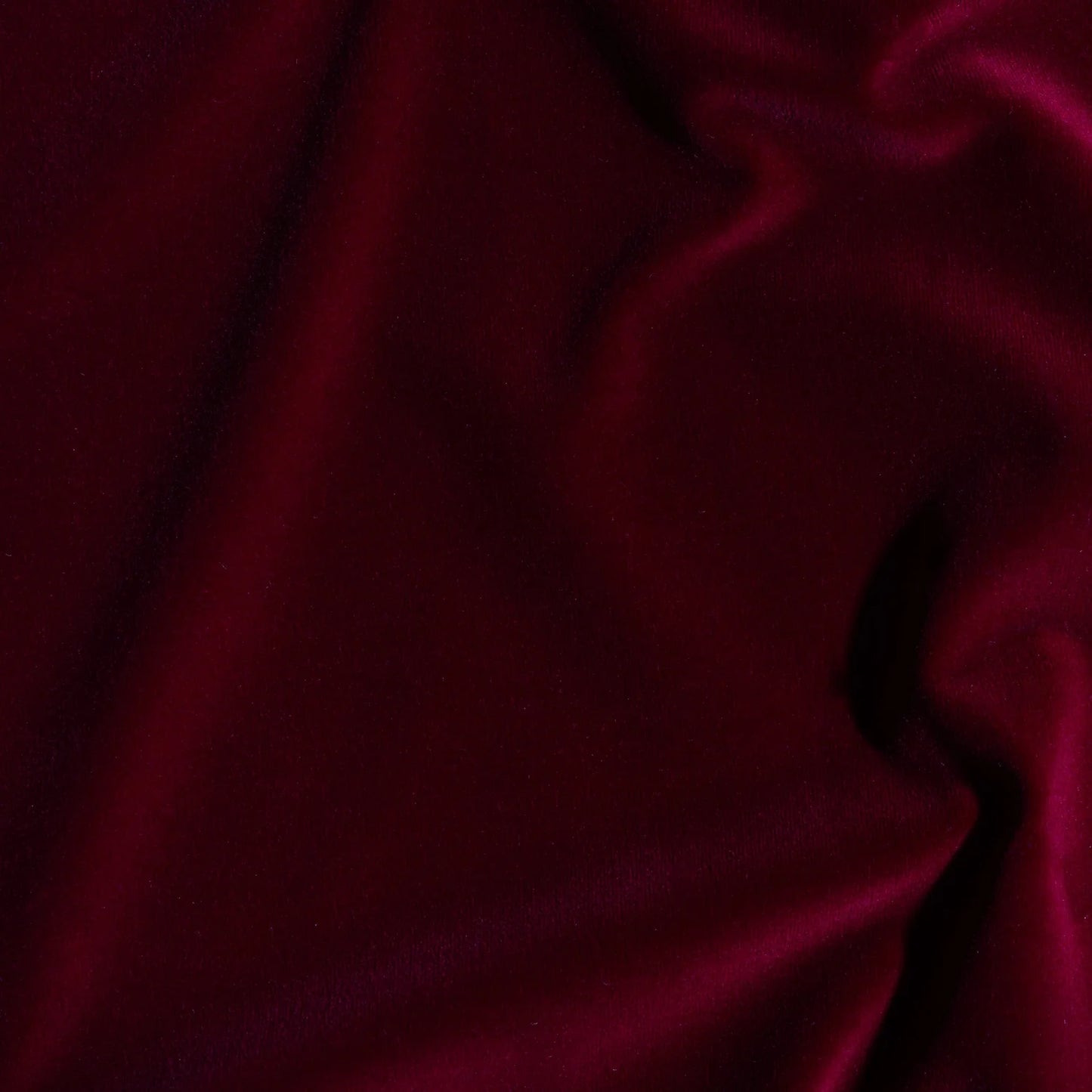 Carnaby Cotton Velvet