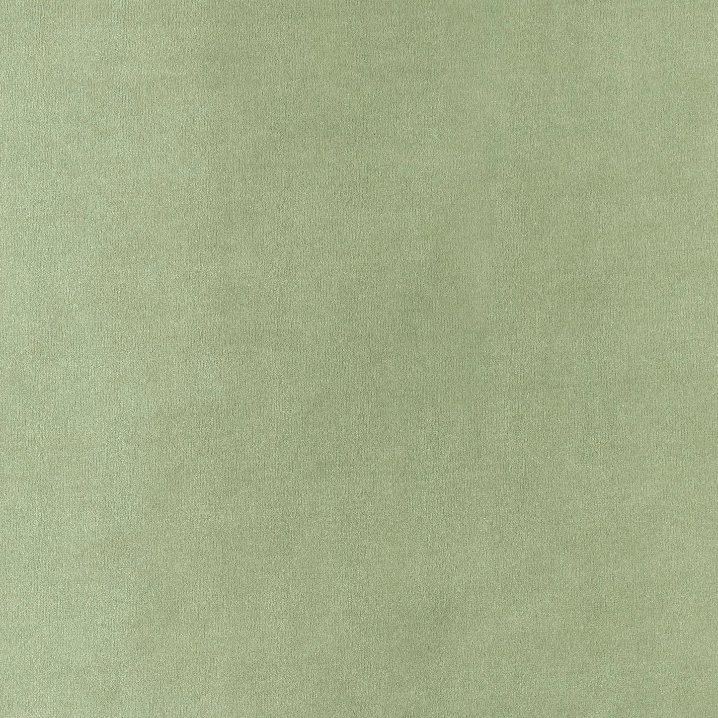 Carnaby Cotton Velvet