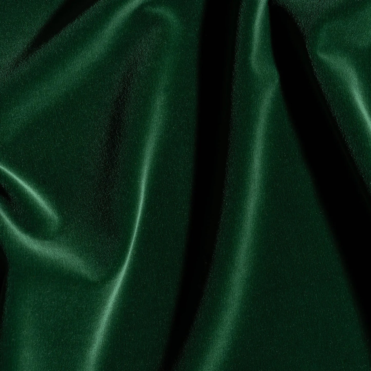 Carnaby Cotton Velvet