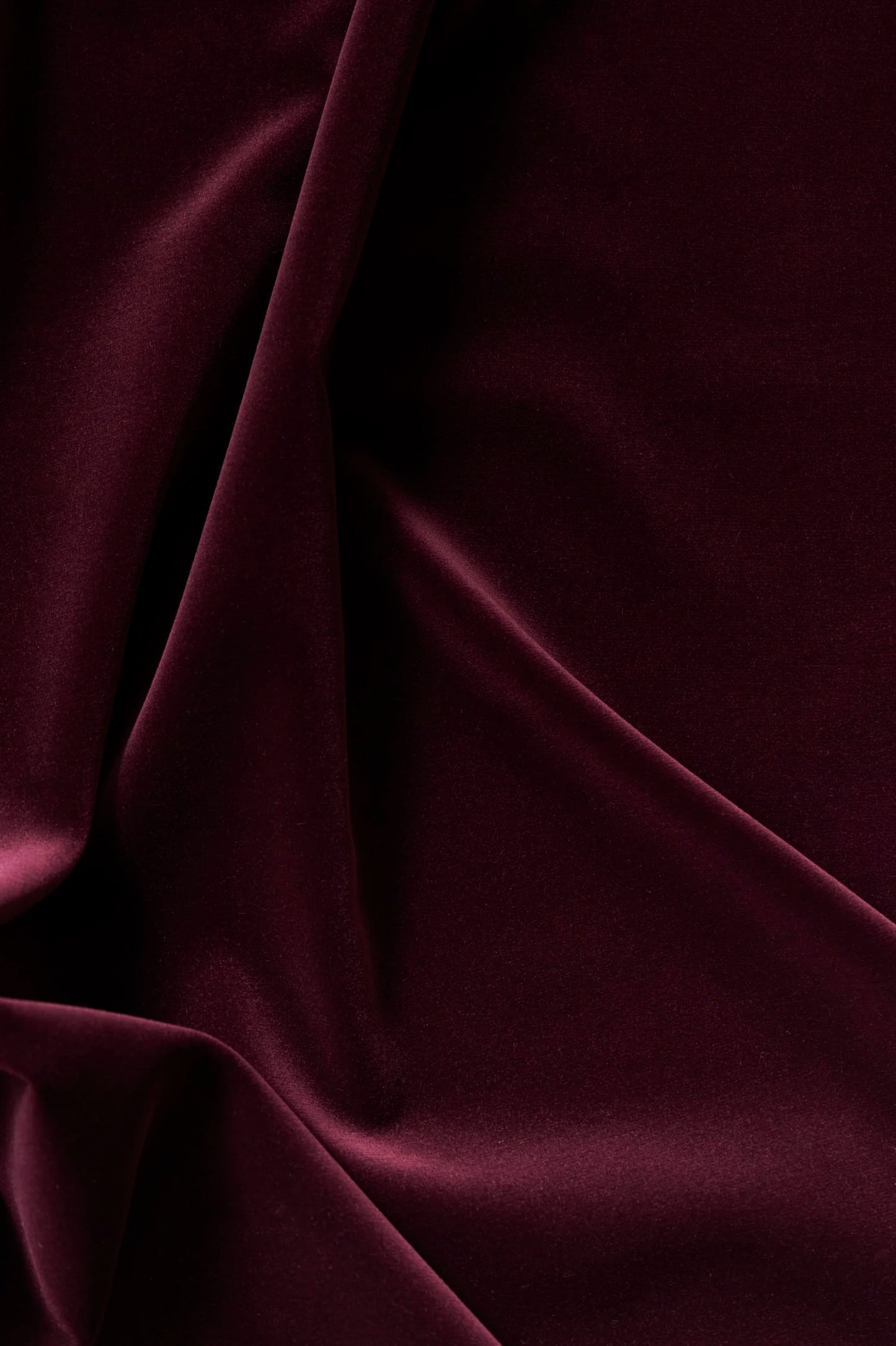 Carnaby Cotton Velvet