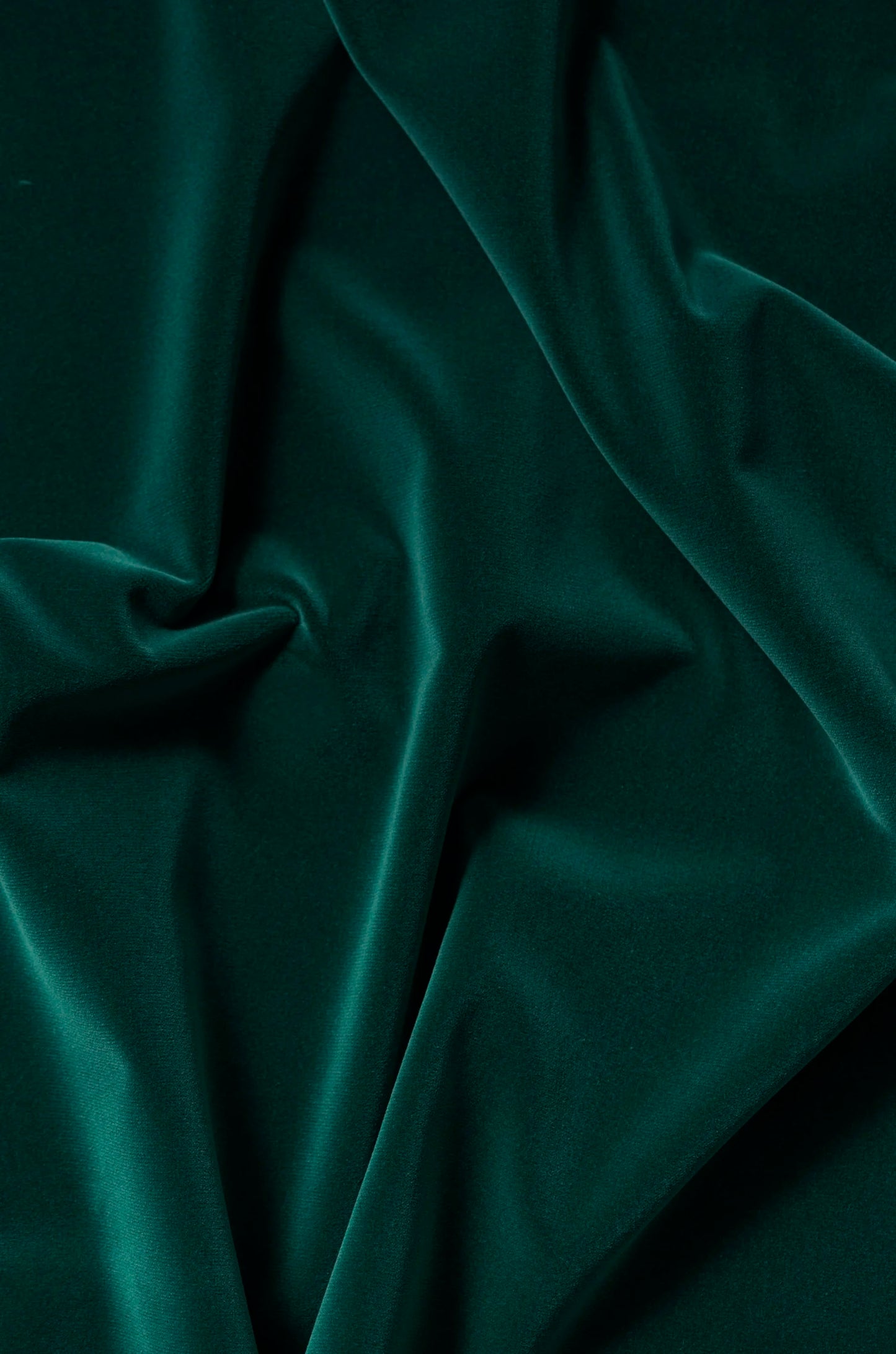 Carnaby Cotton Velvet