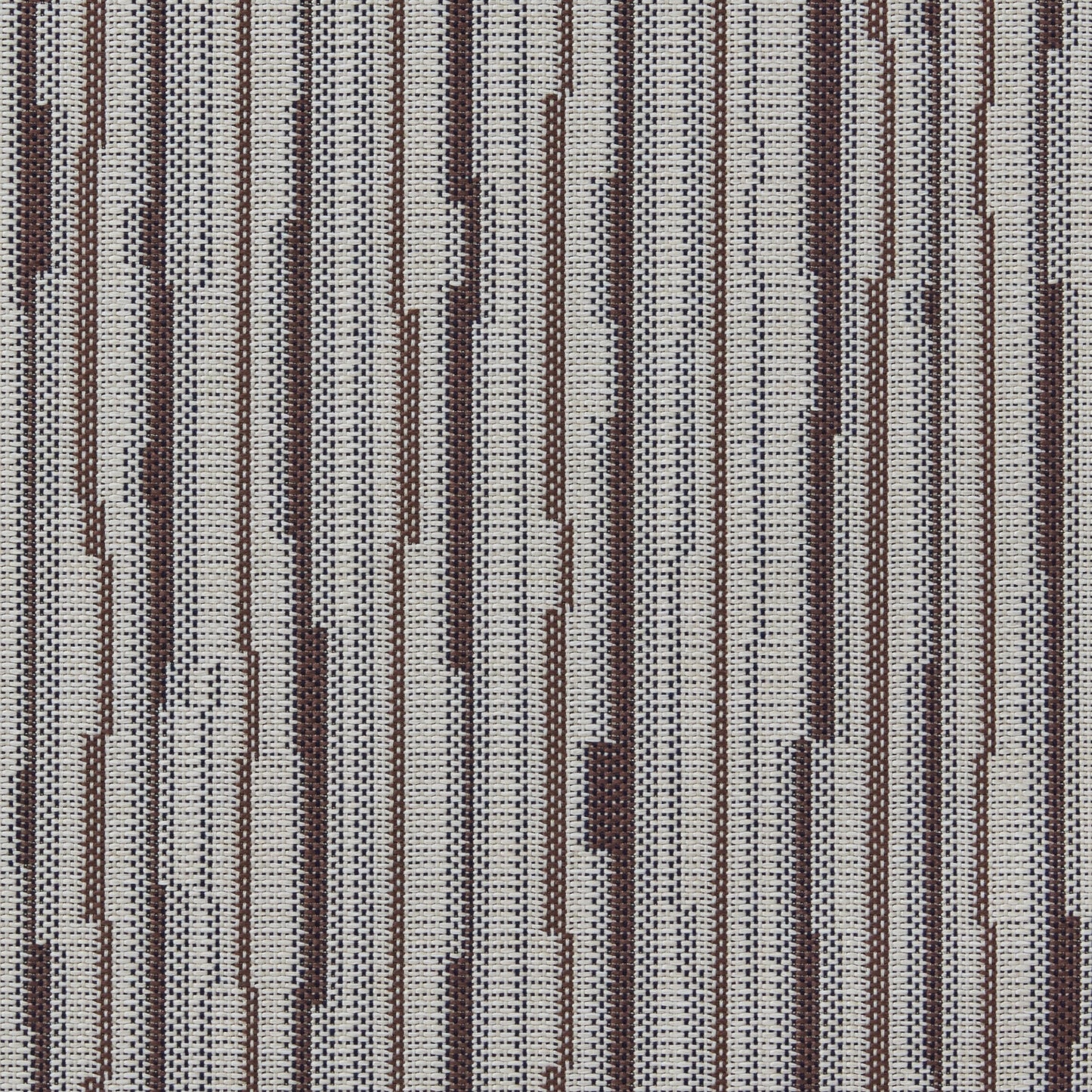 Striata
